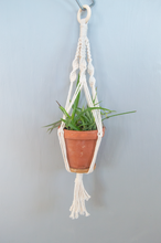 Load image into Gallery viewer, DIY Hanging Planters kit in size small.