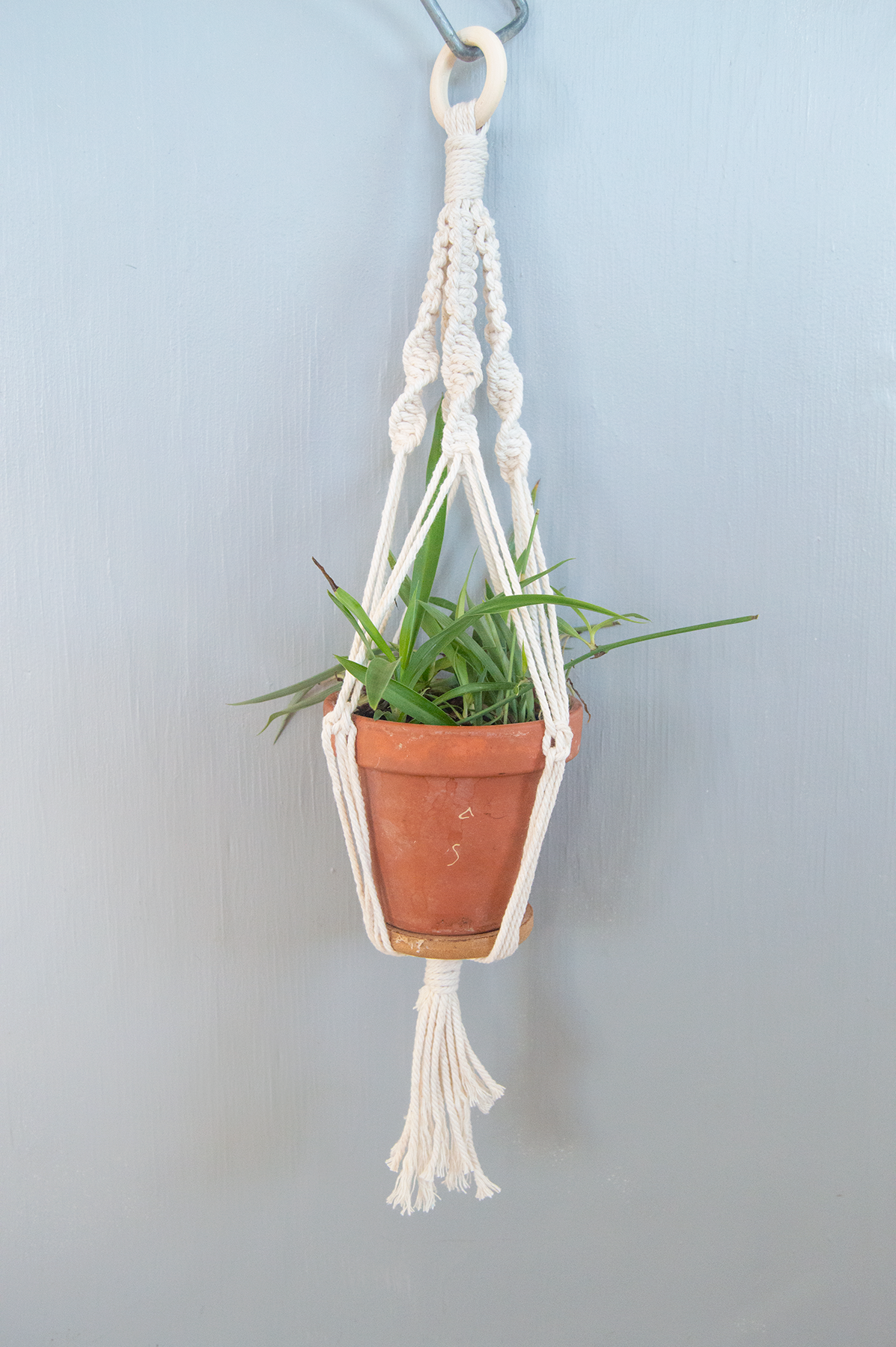 diy macrame mini plant hanger Macrame Plant Hanger DIY Kit by Set It Down