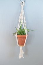 Load image into Gallery viewer, DIY Hanging Planters kit in size small. 
