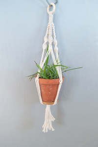 DIY Hanging Planters kit in size small. 
