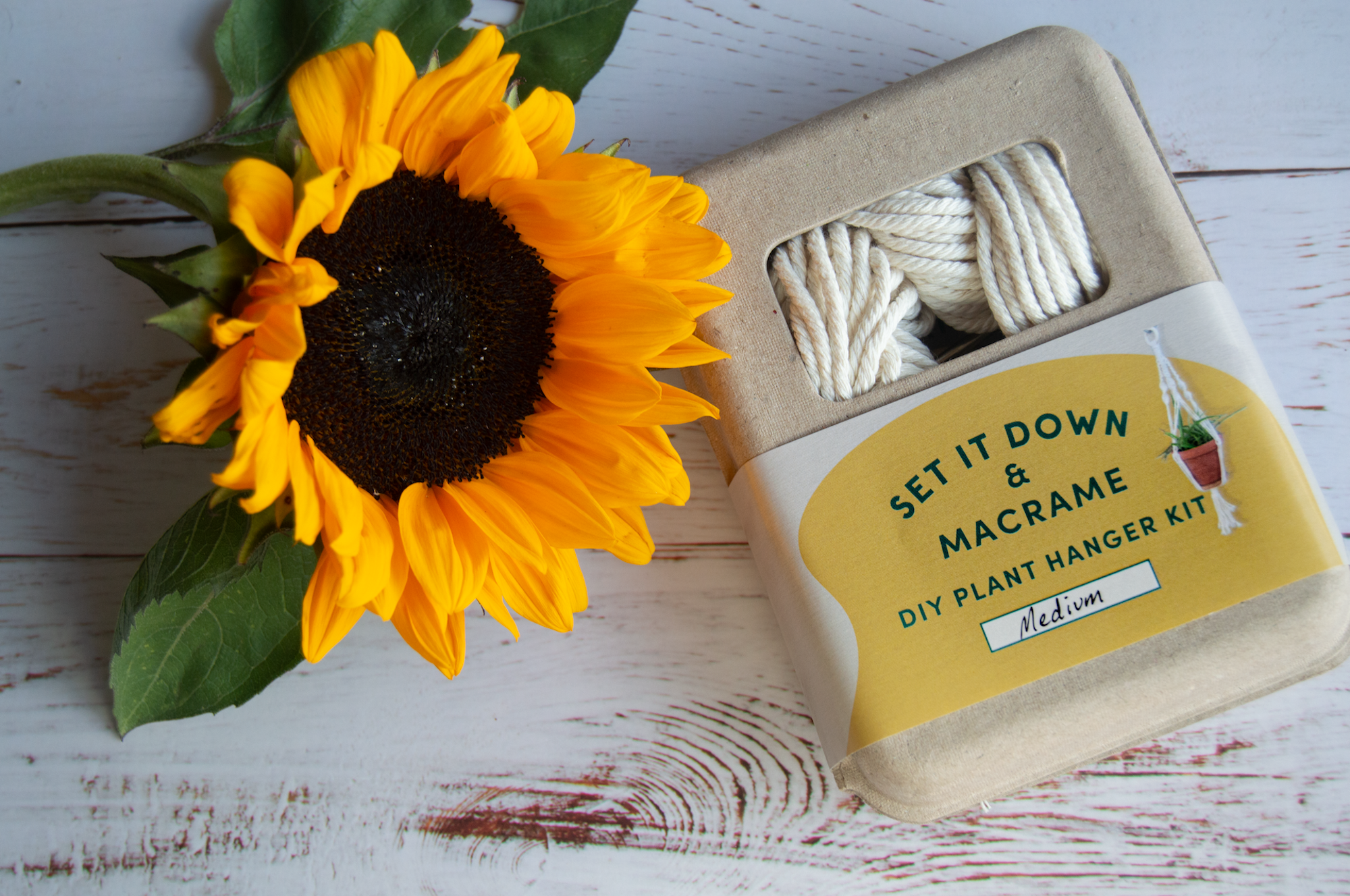 Macrame Plant Hanger DIY Kit by Set It Down